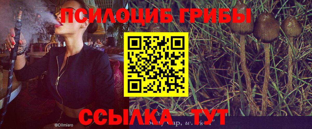 Советск  Галлюциногенные грибы прущие грибы  Галлюциногенные грибы Magic Shrooms  Вход с VPN 